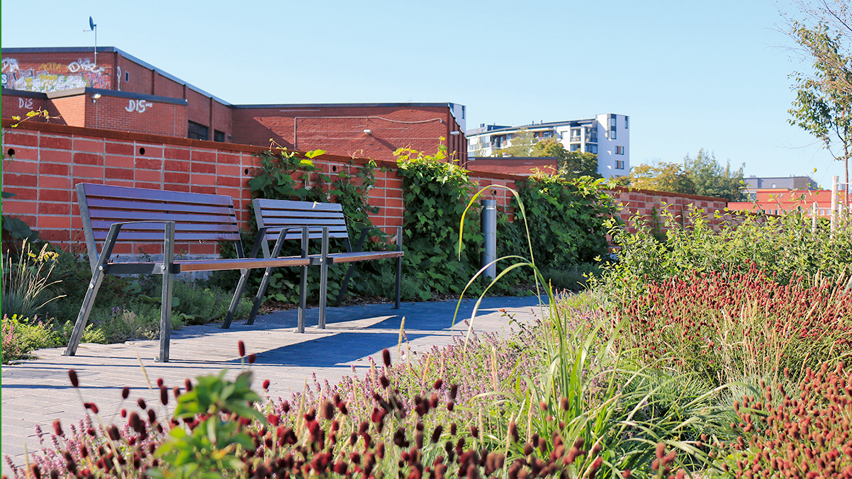 Hermannin rantatien tukimuuri on verhottu köynnöksin, jotka vähentävät melua ja sitovat pölyä. Köynnöspylväillä tuotiin vehreyttä kapeisiin katukuiluihin, joihin puita ei pysty istuttamaan. Rakentamisen tieltä siirrettiin katupuita uusille paikoille puistoalueille, jolloin osa puista voitiin jättää kaatamatta. Kuva: Kalasatamasta Pasilaan -hanke, Pia Salmi