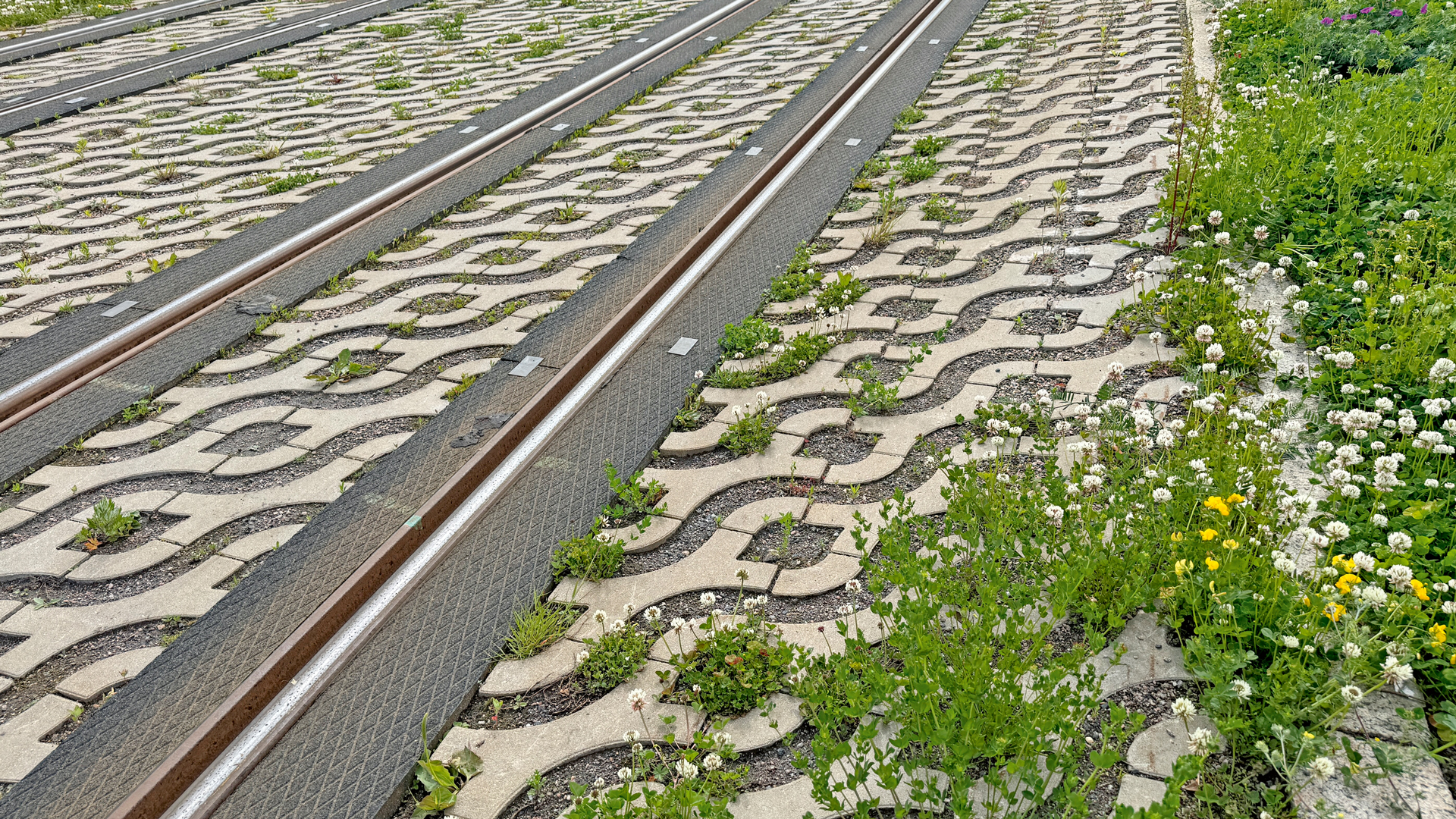 KAPA, Raitiolinja 13 Kalasatamasta Pasilaan kuva #7